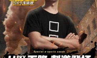 人皇SKY和MOON视频