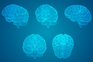 烟花爆竹经营许可证(烟花爆竹经营许可证办理需要多久) 烟花爆竹经营许可证