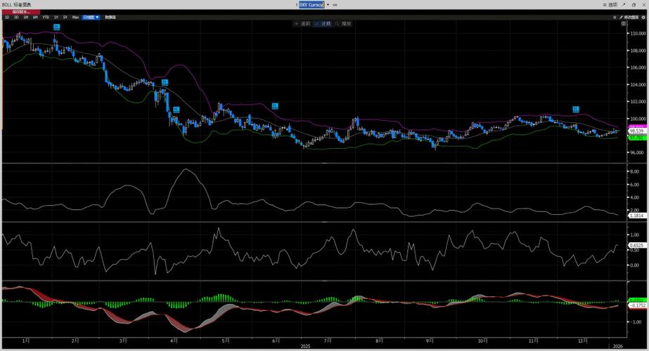 纽约汇市：彭博美元指数收于年内最高水平 受避险需求提振