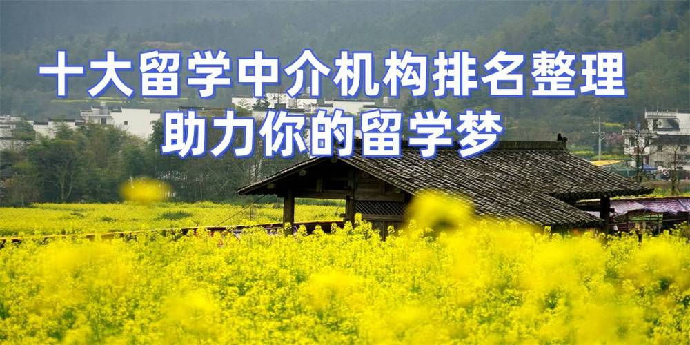 被留学中介骗的惨痛经历（被留学中介骗了怎么办）被留学中介骗了怎么办