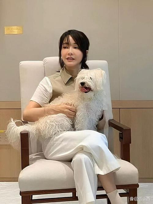 金建希最新消息图片（金建云个人资料）金建云个人资料